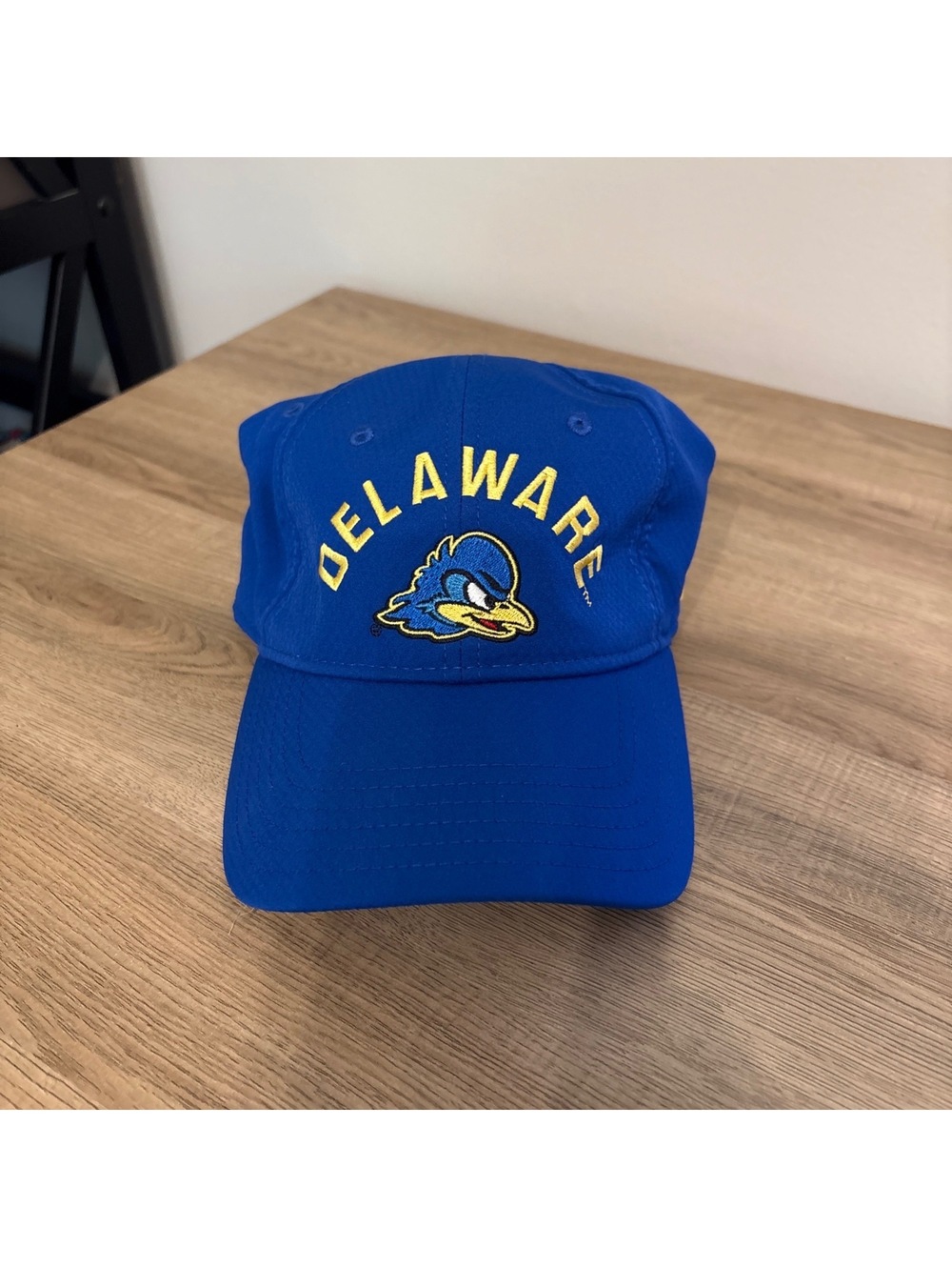 University of Delaware adjustable hat